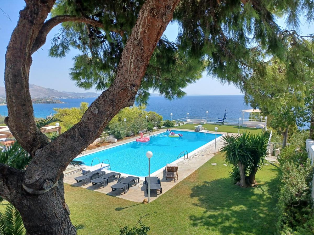 Beautiful, Private Villa By The Sea Agia Marina  Eksteriør billede