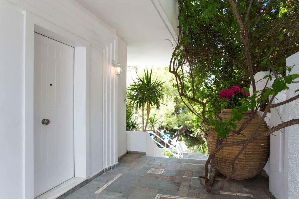 Beautiful, Private Villa By The Sea Agia Marina  Eksteriør billede