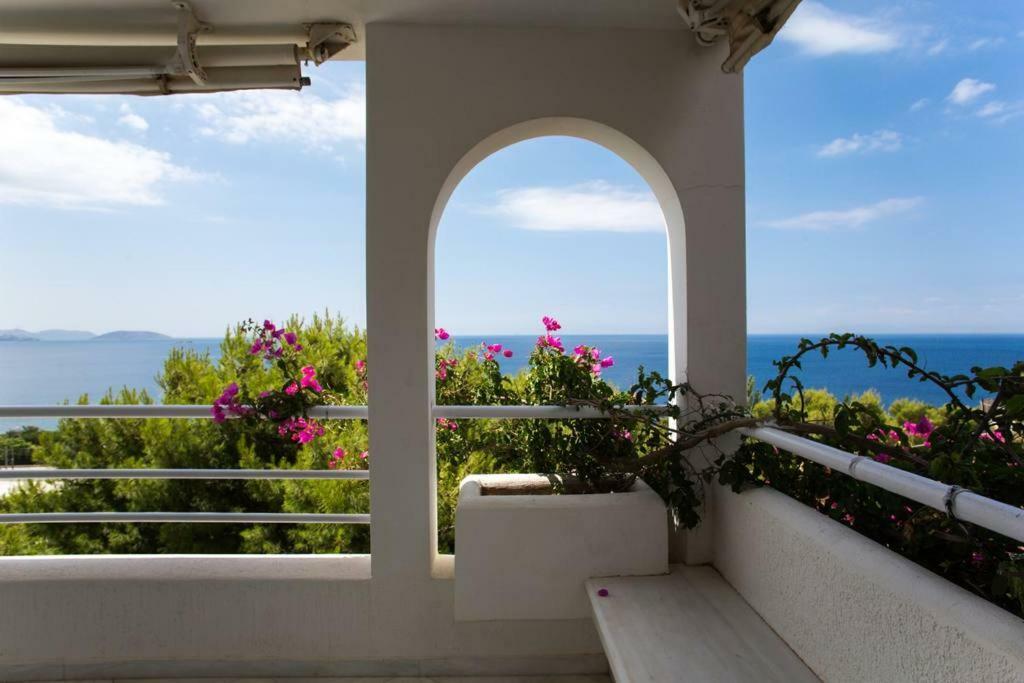 Beautiful, Private Villa By The Sea Agia Marina  Eksteriør billede