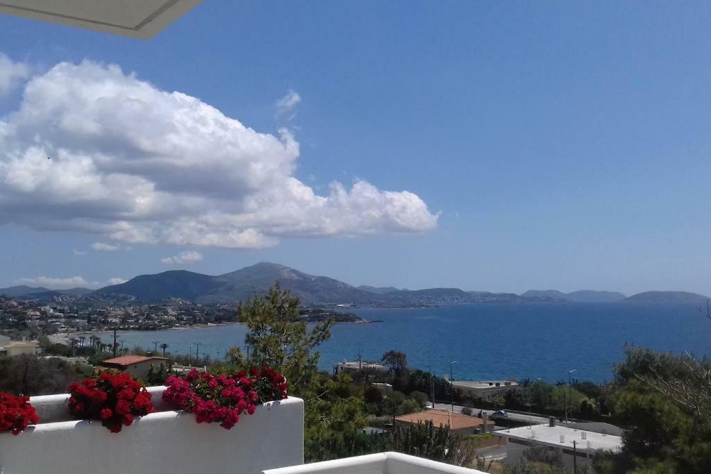 Beautiful, Private Villa By The Sea Agia Marina  Eksteriør billede