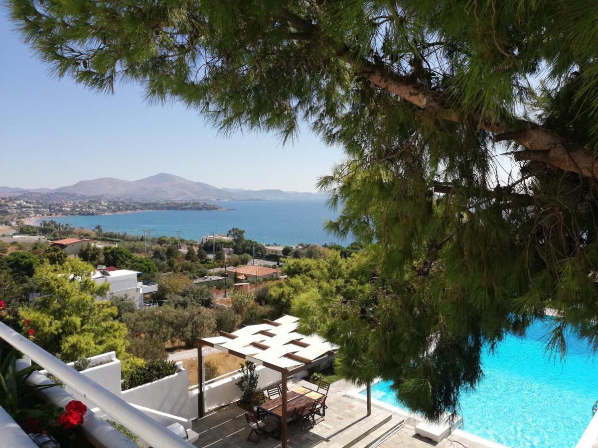 Beautiful, Private Villa By The Sea Agia Marina  Eksteriør billede